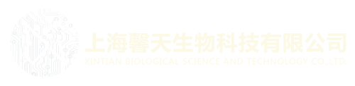 ShanghaiXintian
